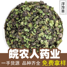 浮萍草500g紫背浮萍草水浮平浮萍水萍青田萍中药材大全代发批发
