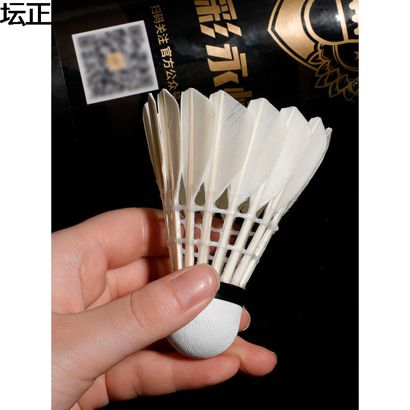 精彩G6羽毛球反洗鹅毛球专业训练比赛用球12只装飞行稳定耐打|undefined