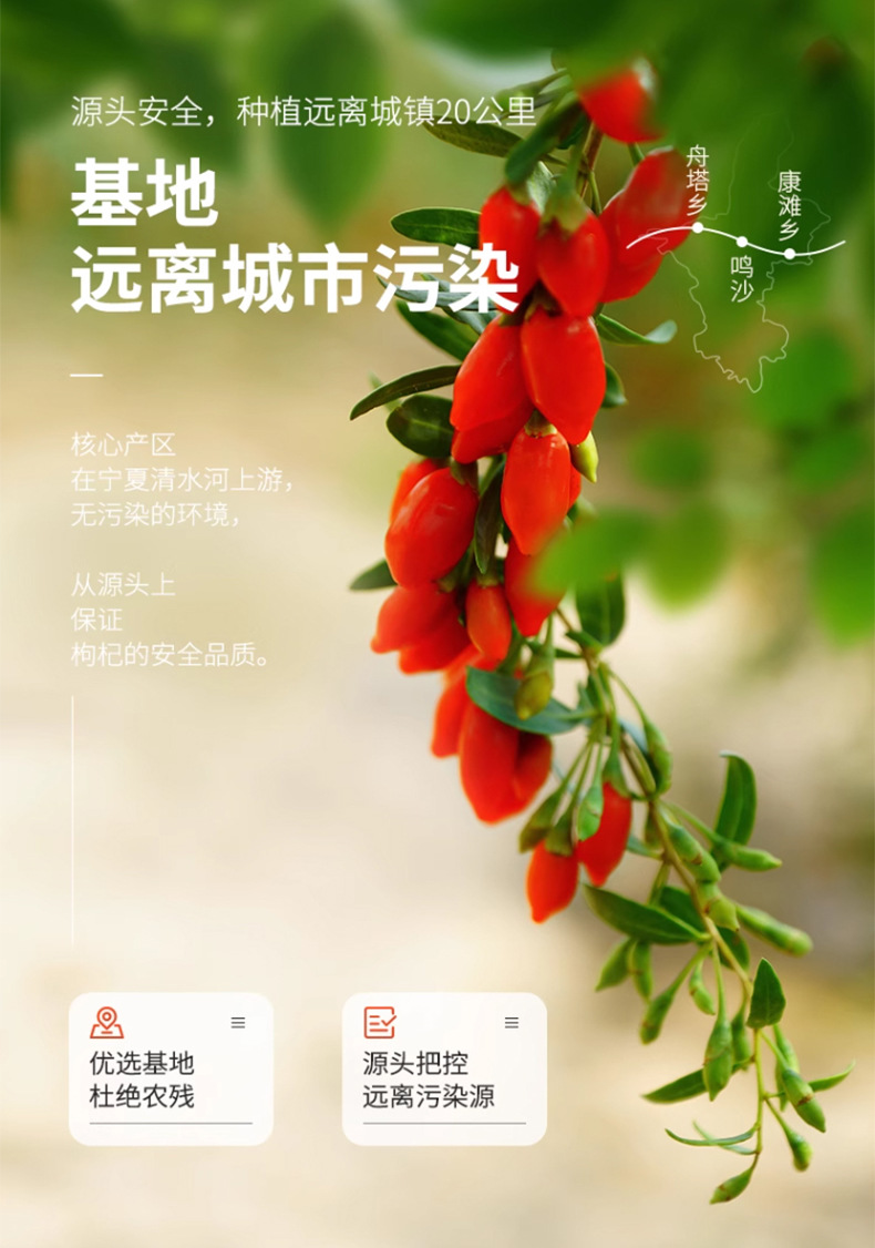 Ningxia Premium Dried Goji Berries Gou Qi Zi Portable 100g Bag Ready to Eat specifications