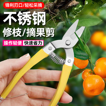 ���P�ժ�������ټ�ֱ�^������ɰ���ٲɹ��@ˇ���ò�ժ���_������