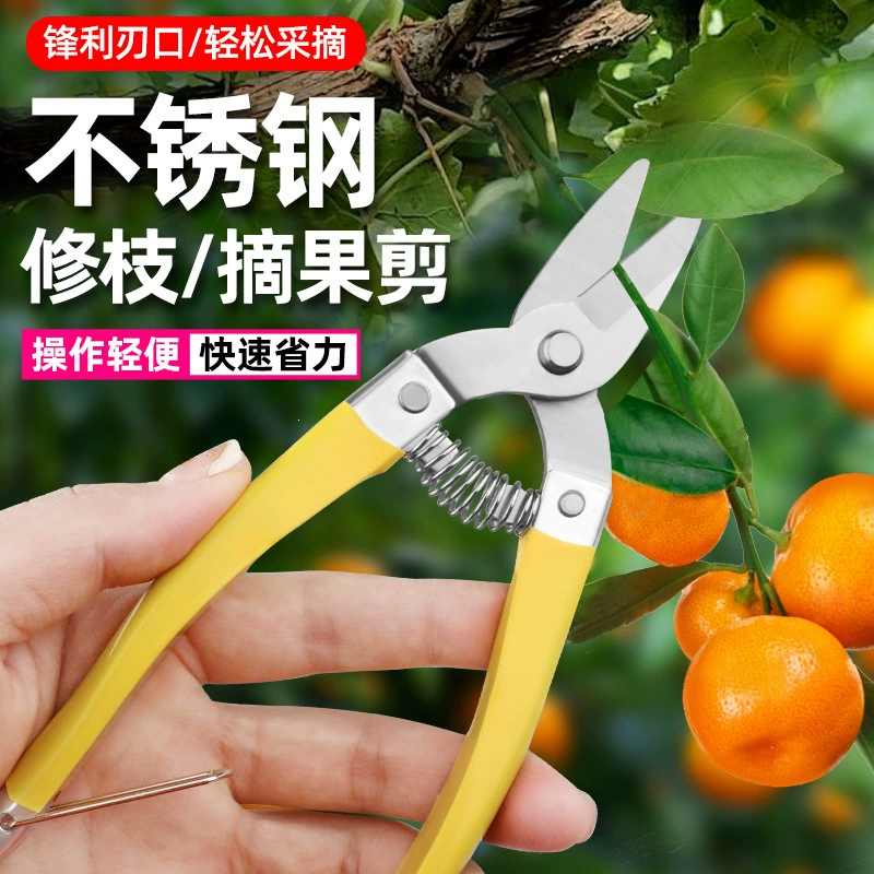 Ножницы для сбора фруктов из нержавеющей стали, ножницы для цитрусовых, ножницы с прямой головкой, ножницы для сбора виноградного сахара и апельсинов, бытовые ножницы для сбора фруктов в саду, ножницы для сбора фруктов Luo Ding