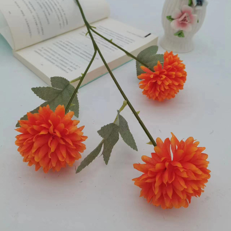 생강