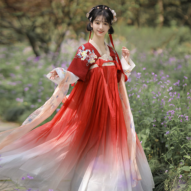 Hanfu for Women, Original Tang-Style Ancient Costume, Super Fairy-Like, High-Waisted Skirt, Summer Daily Wear, Affordable Full Set, Japanese Anime Style