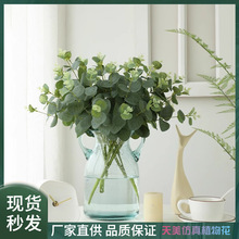 ȼ416^X~[GֲԷ滨bXlS