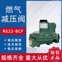 ԭ�bFisher�Mϣ����Ȼ������p���yȼ���{����R622 R622H-DGJ\DFF