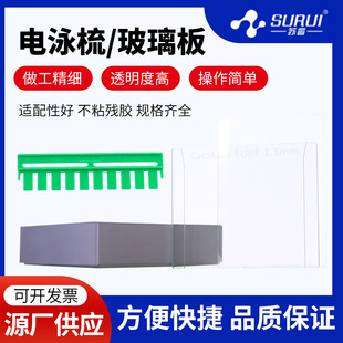 Western Blot �̲����� ������� �����屡�Ӱ� WB�����Ӿ���z��