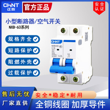 正泰空气开关NXB-63空开开关家用2P63A总闸三相小型空开断路器