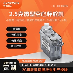 2.5 グラムマイクロモデル航空機固定翼尾翼ドローンアクセサリースマートドアロックリモコン航空機コアレスサーボ