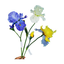 �����Sβ�����ܷ���ٻ���c����b����z�쾰�[����ˇ�Ӱ��g