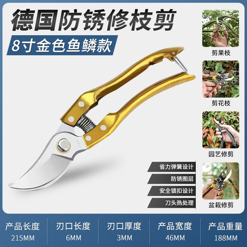 황금 물고기 규모 가지 치기 가위