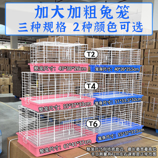 �û\��������ô�̖���g������m�i���øC�B���ӻ\���҃Ȍ��Äe��