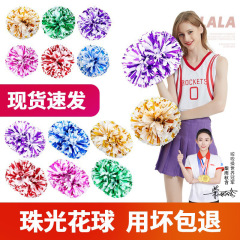 応援ボール応援ボール応援団応援団応援団