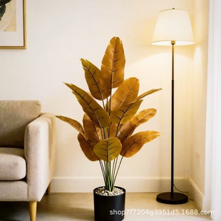 �羳����Gֲ��ɫ�Ž��~����������Ԙ����Ҿ��b[����������