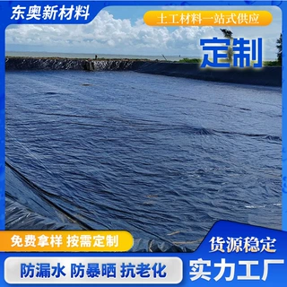 定制土工膜垃圾填埋场蓄水池防水防渗膜高密度聚乙烯防渗用土工膜