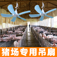 �i�����õ����Bֳ�i�Ṥ�S�i���i�S���ش����L��B����i�������