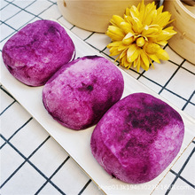 丁三记紫薯包红薯杂粮粗粮夹心卡通蒸包速冻半成品方便速食早餐