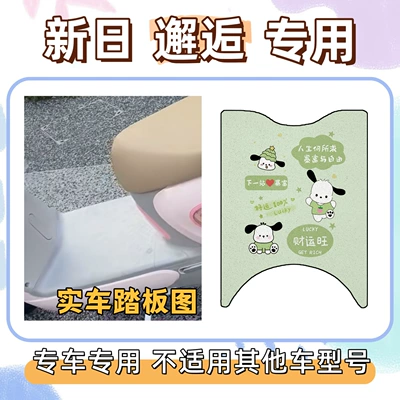 New Day Encounter Special Package: Electric vehicle foot mat - foot-mat-with-velcro-pacha-dog-green-special-for-xinri-encounter