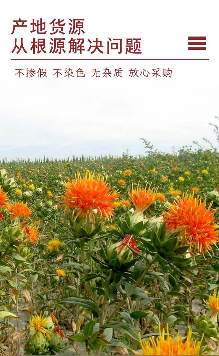 Dried Safflower Hong Hua Loose Herb 100g Xinjiang Origin Traditional Foot Soak and Decoction Ingredient overview