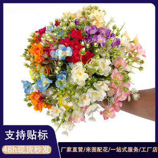 �羳����Wʽ6�^С��������c�Y�ò������������Ҿӑ����b�