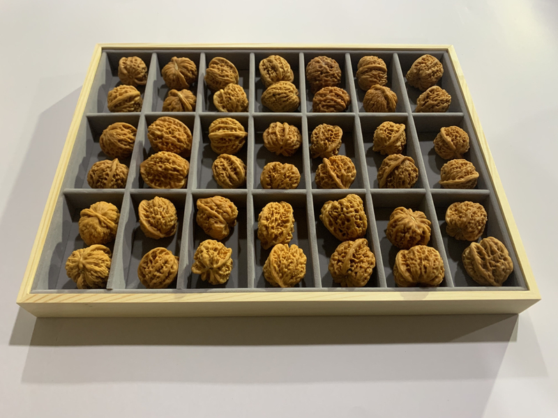 Display Box for Cultural and Artistic Items, Transparent Walnut Storage Box, Lion Head Bracelet Box, Handle Piece Storage Box, Walnut Storage Box Display Box for Cultural and Artistic Items, Transparent Walnut Storage Box, Lion Head Bracelet Box, Handle Piece Storage Box, Walnut Storage Box