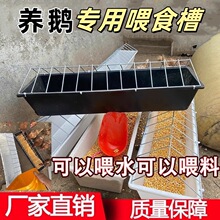 �r���L���ζ��ι�u�����u���Z����ιʳ������ɢ�B�����Ԅ�ιʳ��