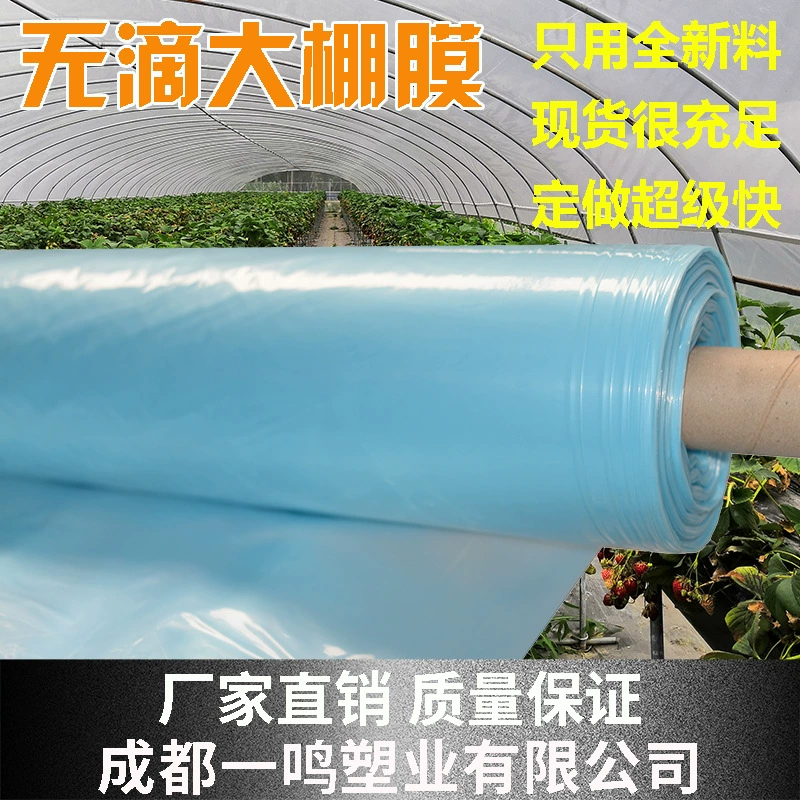 Прямые продажи с фабрики, индивидуальная сельскохозяйственная коэкструдированная пленка для теплицы из ЭВА, прозрачная пленка без капель, пластиковая пленка, пластиковая ткань