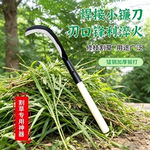 ���l�¿���������i����~ľ��砵�����㽶������˵��޽ӵ�