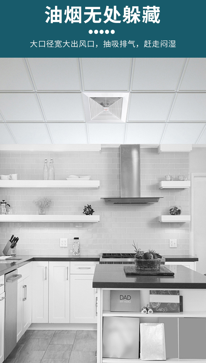 全塑吸顶扇系列_06.jpg