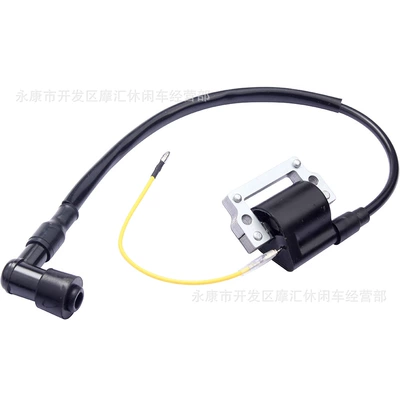 XR80 High Voltage – Alovlanma bobini (Babinalar)