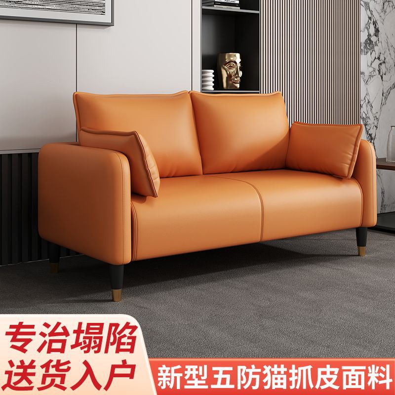 Bedroom Double Simple Modern Small Apartment Technology Three-Person Light Luxury Rental Room Cloth Sofa Living Room Clothing Store