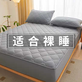 夹棉床笠单件2025新款四季通用全包床罩床垫保护套单人宿舍防尘罩