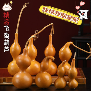 Pack pulp bird gourd hand piece new gourd play ornaments play boutique small gourd a generation of hair