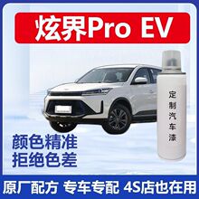�P���Ž�Pro EV�����ԇ���ԭ�S܇��oɫ���������ɰ���ń�