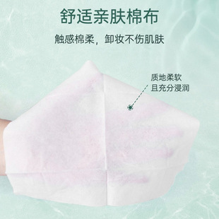 Wet Wipes, Gentle and Translucent Makeup Remover Wipes, Efficient and Portable, Special for Eyes, Lips and Face Cleansing, Wholesale, Free Shipping