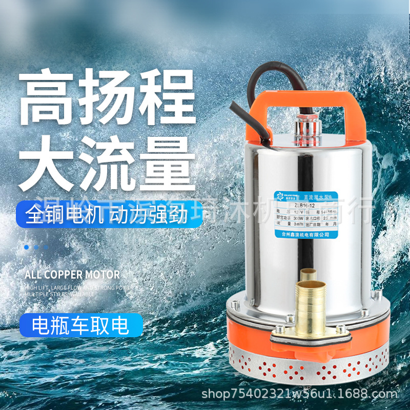 Bomba sumergible DC doméstica pequeña 12V/24V/48V/60V, ideal para riego agrícola y bombeo de agua