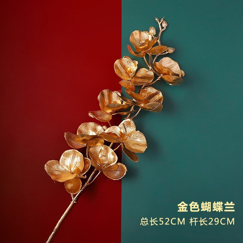 Phalaenopsis dorada 1 rama