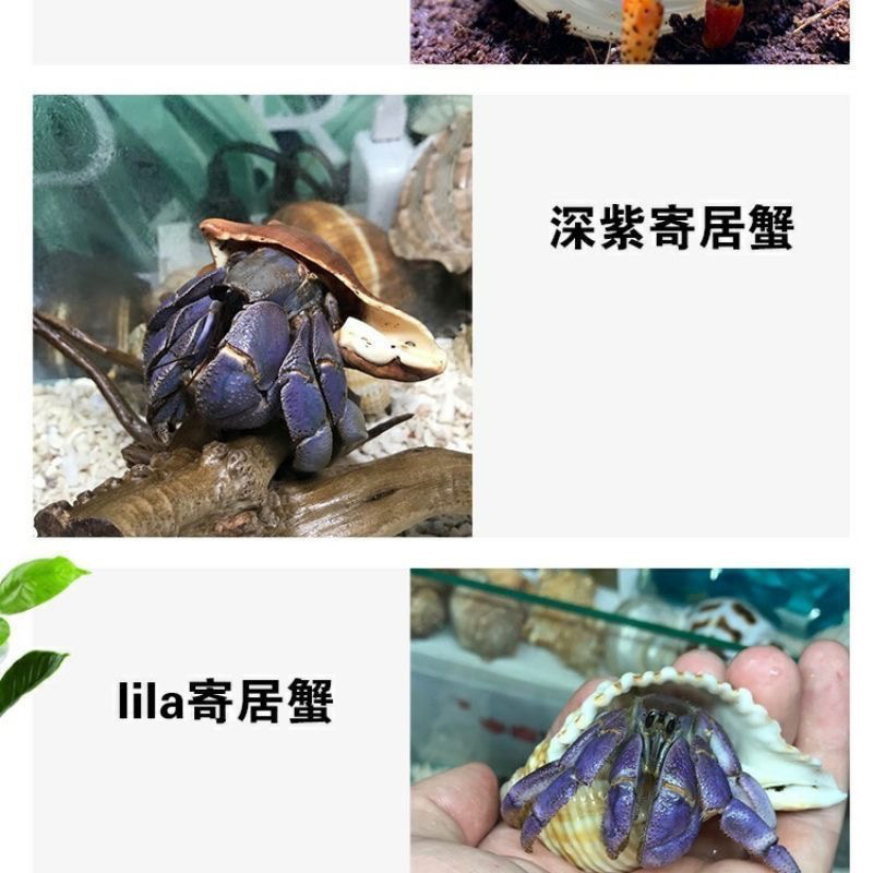 3ba0946e-b512-44d6-a3d5-259b4354a389.jpe