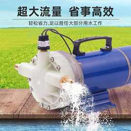 高压泵打机12V48V60V喷雾器五缸隔膜泵车载打泵冲肥泵厂批发工厂