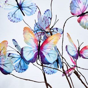 5�^���������滨 ��c�Ҿ��bٻ��Ҿӿ͏d�����Ĕz���߷����m��