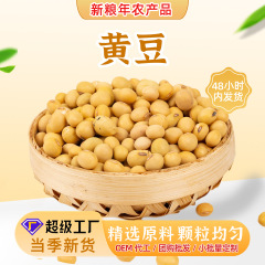 大豆ばら売り新商品東北大豆非遺伝子組換え大豆芽豆豆腐豆乳専用焙煎可能