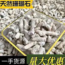 现货批发珊瑚砂海洋馆水族鱼缸造景调节PH值污水处理鱼池用珊瑚石