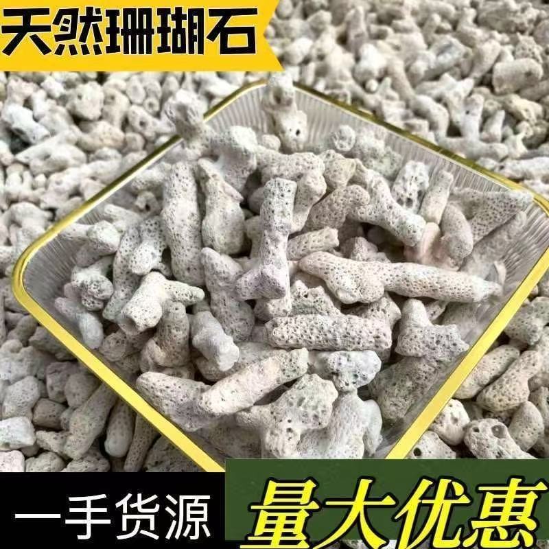 1-3 mm Mərcan Qumu — Akvarium və Su Təmizləmə Üçün