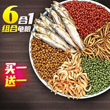 С�������ͨ�������Z�~���r���������������������w������ʳ��Z