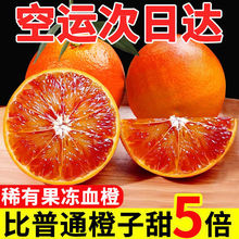 血橙爆甜四川新鮮果凍橙子塔羅科薄皮紅橙當季孕婦手剝橙臍橙水果