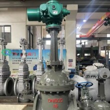 ���һ�w�l�yZ941H-16Q/P DN250�y�w��ī�T�F���y�ļ��y�岻�P�