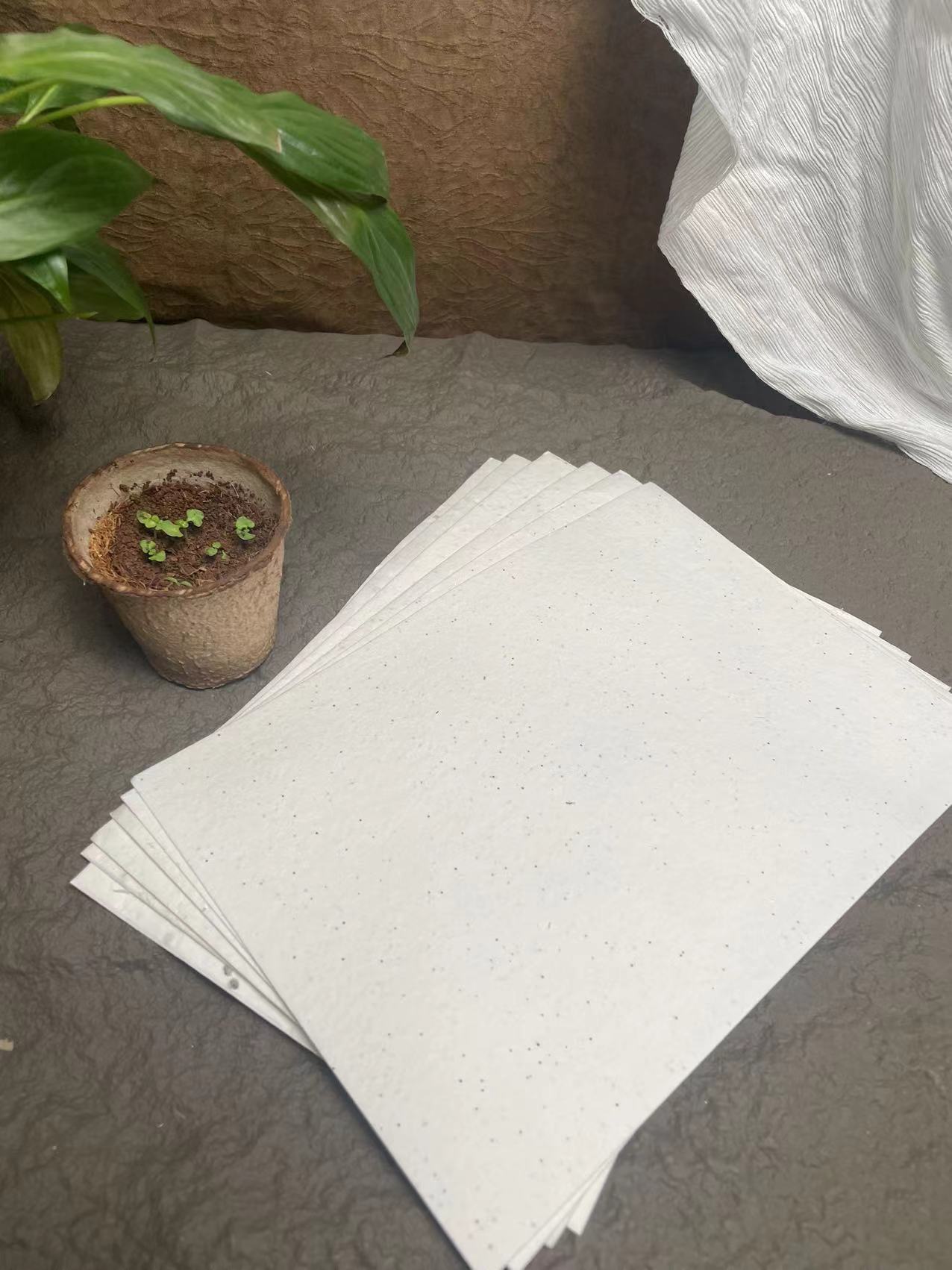 种子纸种子定做原料吊牌书签A4发芽纸特种空白印刷种植纸批发定制-阿里巴巴