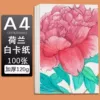 A4 white cardboard 120g thin [100 sheets]