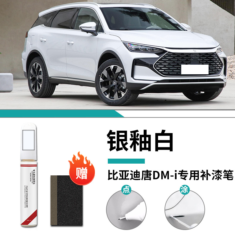 BYD Tang dmi bạc men trắng sơn bút mờ giấy / Tiêu chuẩn