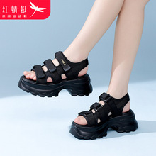 红蜻蜓女鞋黑色厚底增高女士运动休闲沙滩鞋老爹凉鞋女魔术贴外穿