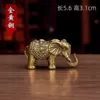 A lucky and auspicious elephant*